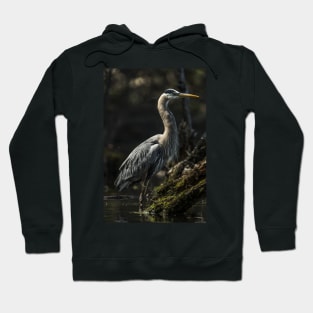 Blue Heron Hoodie